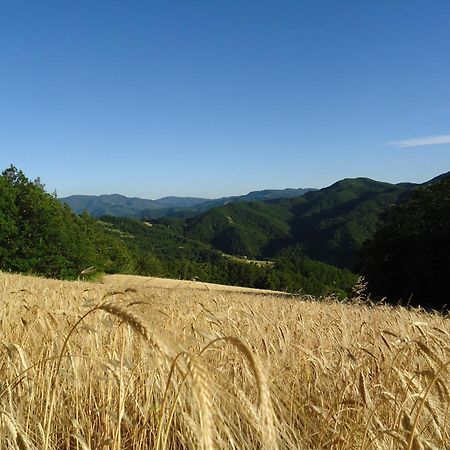 Agriturismo I Monti Di Salecchio Palazzuolo Sul Senio Exteriér fotografie
