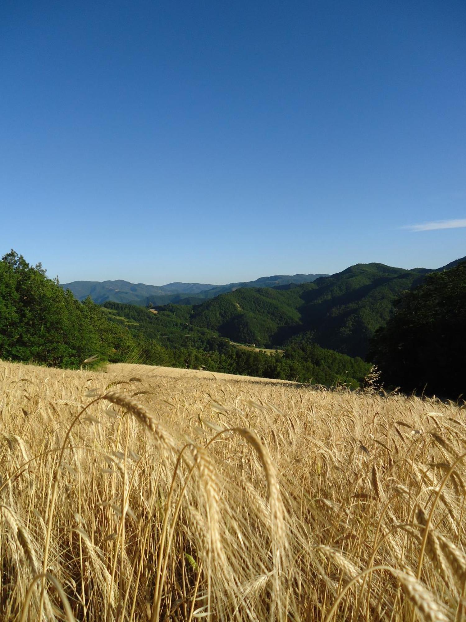 Agriturismo I Monti Di Salecchio Palazzuolo Sul Senio Exteriér fotografie