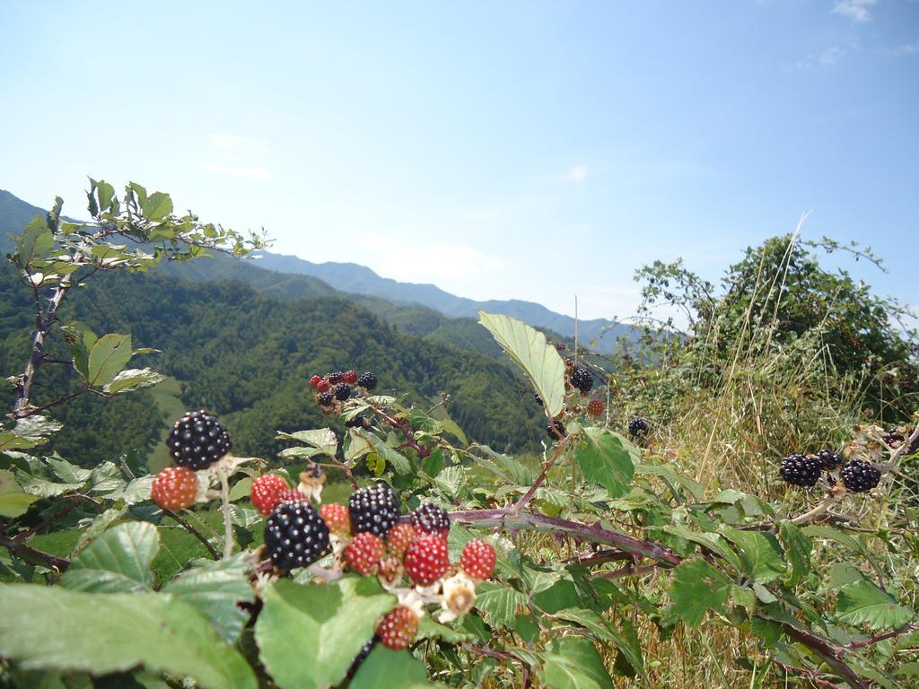 Agriturismo I Monti Di Salecchio Palazzuolo Sul Senio Exteriér fotografie