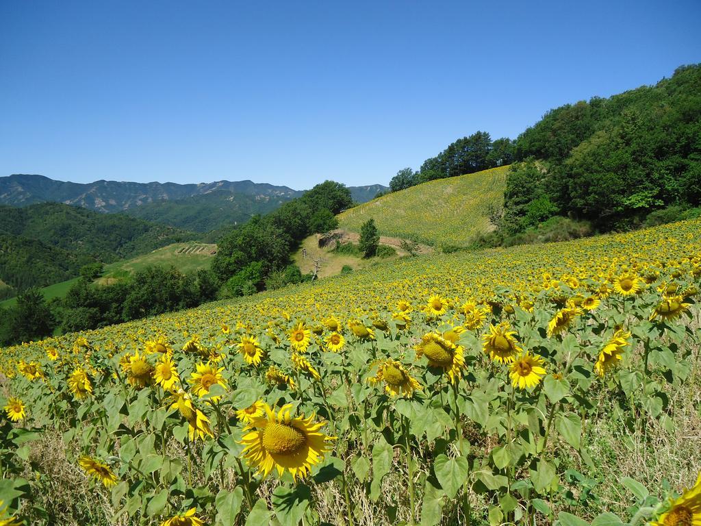 Agriturismo I Monti Di Salecchio Palazzuolo Sul Senio Exteriér fotografie