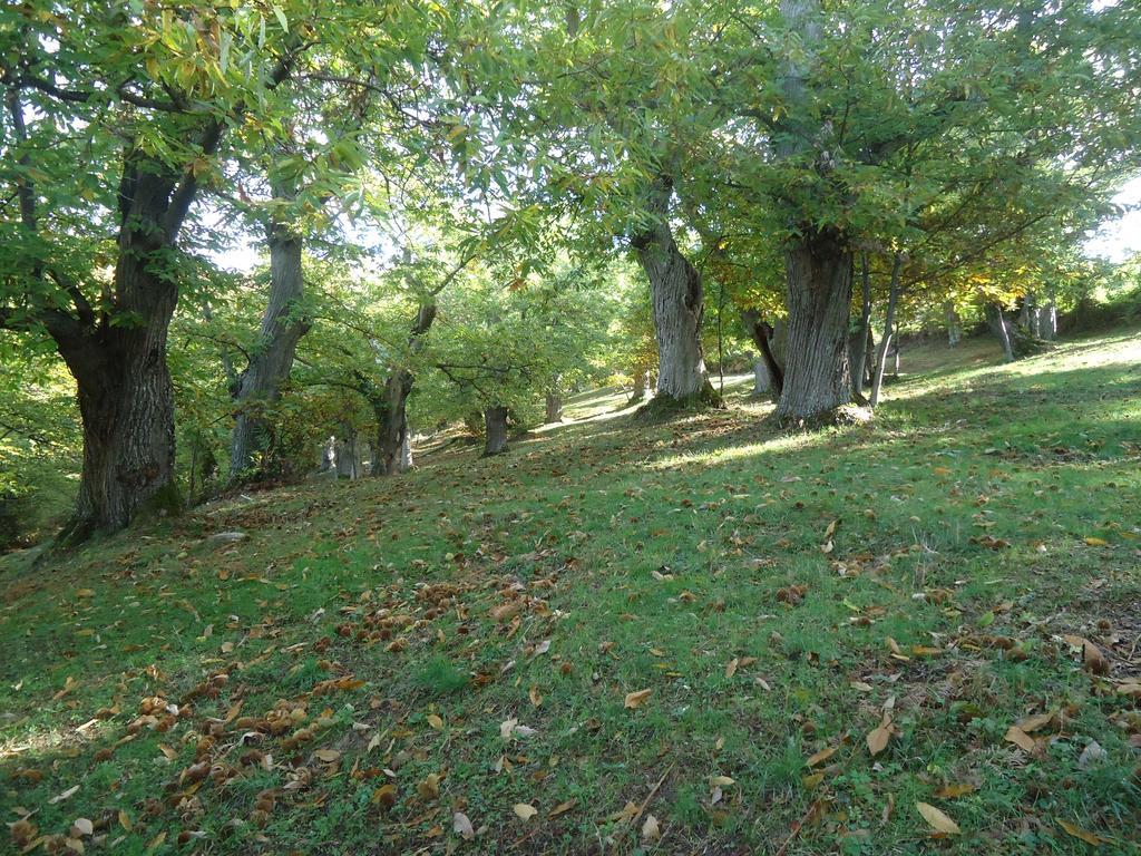 Agriturismo I Monti Di Salecchio Palazzuolo Sul Senio Exteriér fotografie